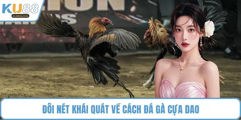 Đôi nét khái quát về cách đá gà cựa dao