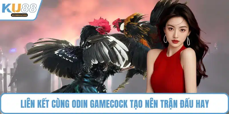 Liên kết cùng Odin GameCock tạo nên trận đấu hay