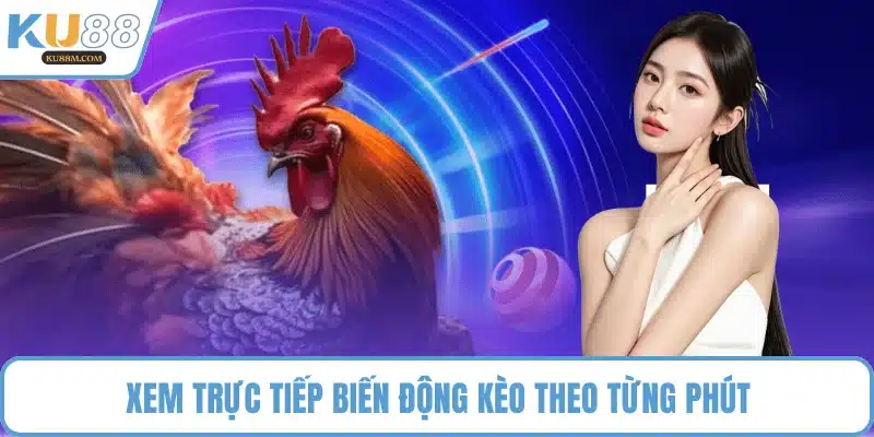 Xem trực tiếp biến động kèo theo từng phút